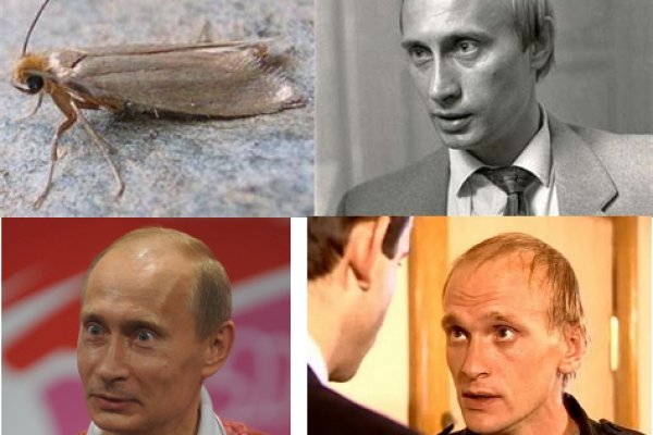 Кракен точка
